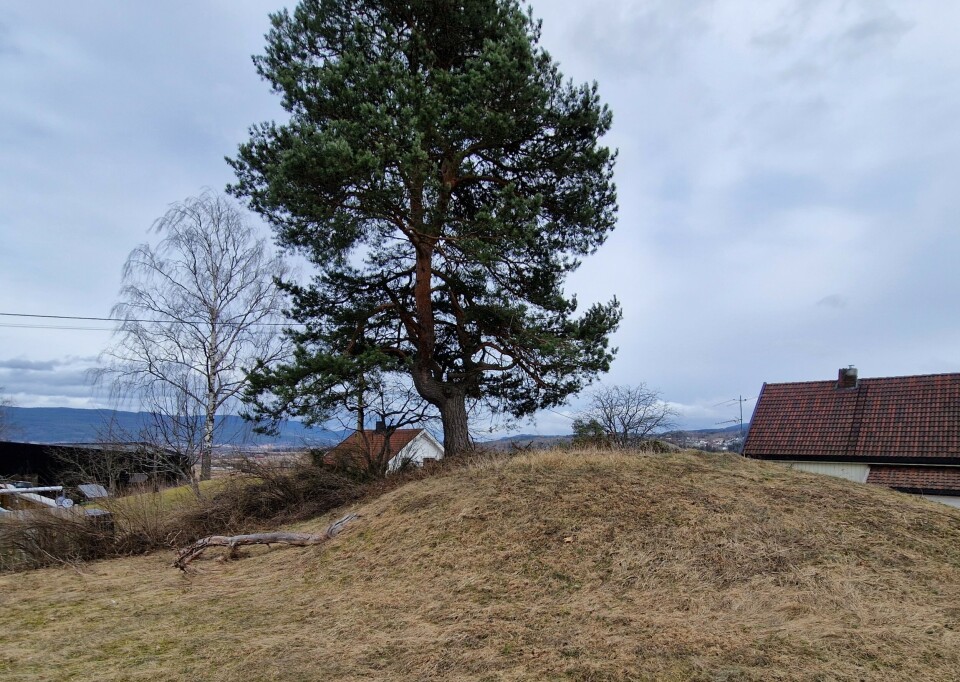 I nabolaget til Simen Hals er det gravhauger. De er fredet, men ikke gravd ut.