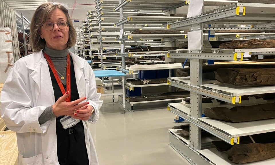 Hanne Lovise Aannestad har ansvaret for de arkeologiske samlingene på Kulturhistorisk museum i Oslo.