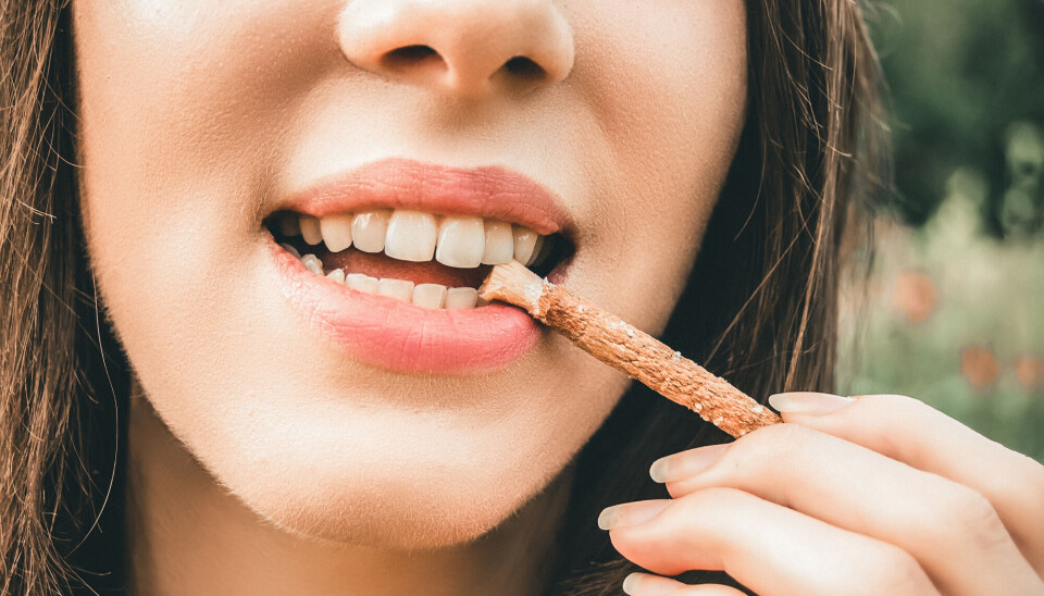 Miswak er en tyggepinne som er laget av røtter og greiner. Den slipper ut stoffer som dreper bakterier i munnen. Den har blitt brukt i tusenvis av år i mange deler av verden.