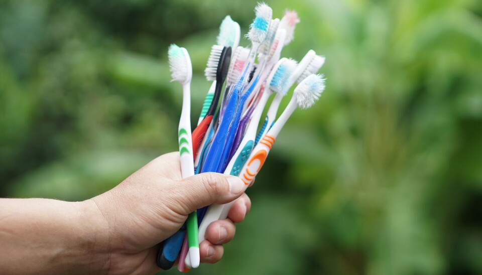 Tannbørstene slapp fra seg mikroplast i forsøket på laben. Vi vet ikke sikkert hva som skjer ved tannpuss hjemme på badet.