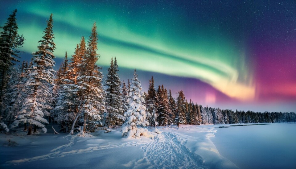 Nordlys sett i villmarken. Nordlyset kommer av ladede partikler som treffer vår atmosfære. Det skaper pene effekter, men kan også gi trøbbel.