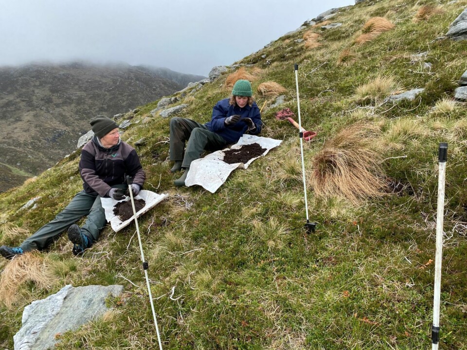 I byggefasen vokser mange forskjellige arter av lyng, gress og urter. Dette gir gode husdyrbeiter, og levekår for mange insekter og meitemark. Her ser vi fagfolk som samler prøver av jordlivet i prosjektet. To forskere ute