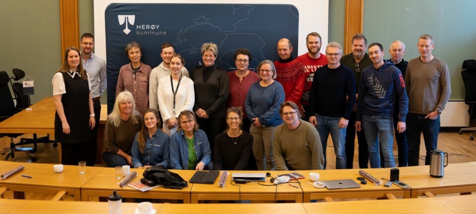 Lokale bønder, forskere og folk fra Herøy Kommune har samarbeidet om prosjektet for å ta vare på lyngheia på Nerlandsøya i Møre og Romsdal. En gruppe med mange forskere