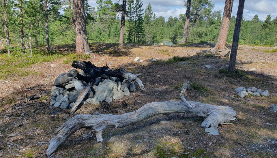 Sosiale medier, spesielt Instagram, er en viktig faktor i turisters hverdag. Ved å dele sine opplevelser på nett, påvirker besøkende både sin egen og andres atferd.