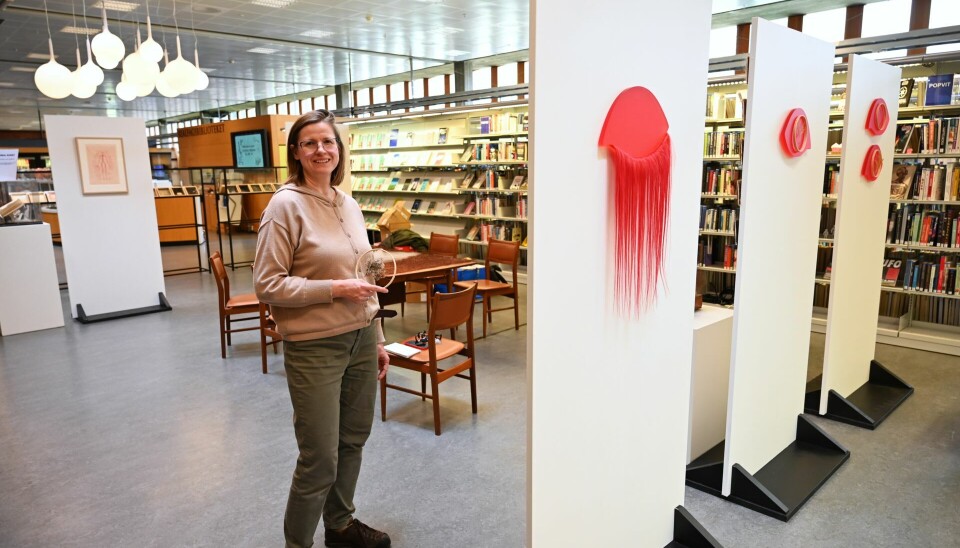 Izabela Żółcińska under monteringen av utstillingen i Realfagsbiblioteket. Izabela Żółcińska under monteringen av utstillingen i Realfagsbiblioteket.