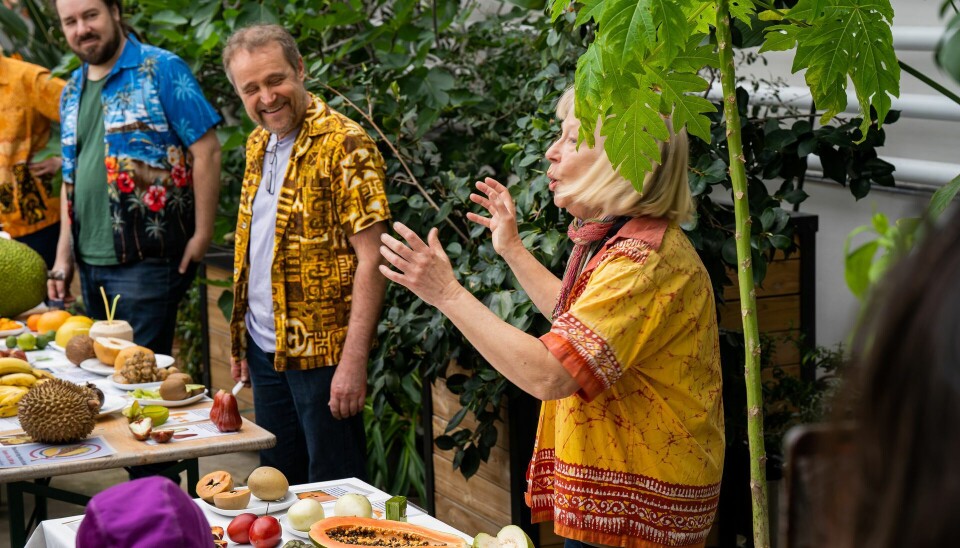 Botanikere Finn Ervik og Kristina Bjureke under et arrangement om eksotiske fruker. Botanikere Finn Ervik og Kristina Bjureke under et arrangement om eksotiske fruker ved NHM
