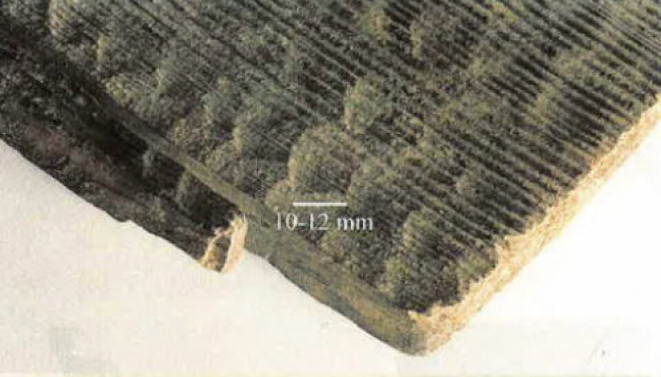 Haugvikbåten viser at folk i Norge kunne hugge til planker som var bare 1,5 til 1,8 centimeter tykke, allerede for mange tusen år siden. Kanskje så tidlig som 2.000 og 3.000 år før vikingskipene ble bygd. Plankene i skutesidene ble surret sammen eller satt sammen med trenagler.