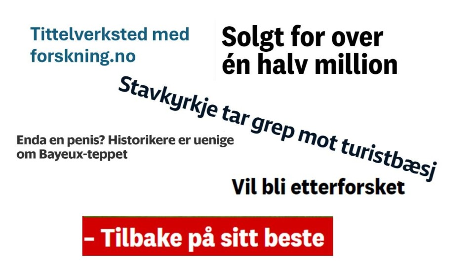 Vi arrangerer tittelverksted hvor du jobber med å spisse vinkling og tittel på egne saker. Fotomontasje med titler fra ulike medier.