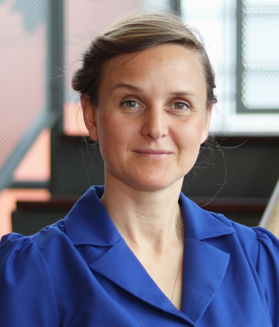 Det er 56 aktive kriger i verden, ifølge forsker Isabel Bramsen.