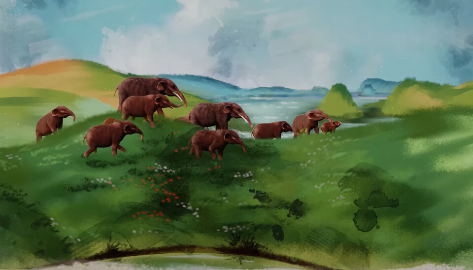 Elefantdyr fra Afrika vandret inn i Asia via Gomphotherium-landbroen som ble dannet for rundt 20 millioner år siden.