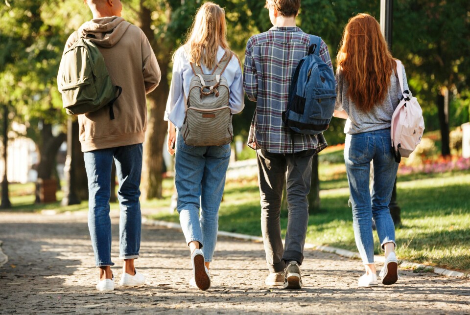 Mange unge synes det er vanskelig å velge hva de vil jobbe med i framtiden. Fire skoleungdommer går på vei med ryggen til.
