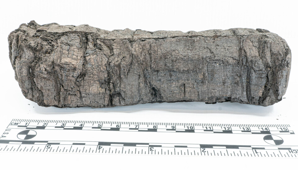 Skriftrull PHerc. 172.