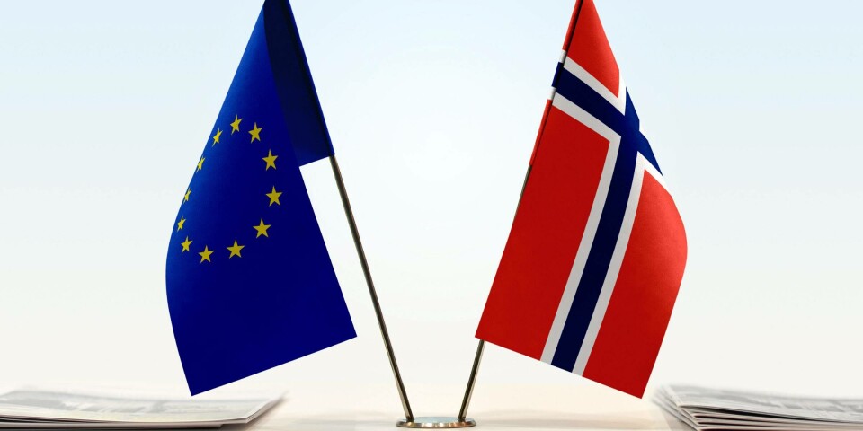 – Norge deltar i 300 arbeidsgrupper i EU, men kommunenes perspektiv er ikke representert i disse, sier Åse Erdal, fagsjef for EU og EØS i KS.