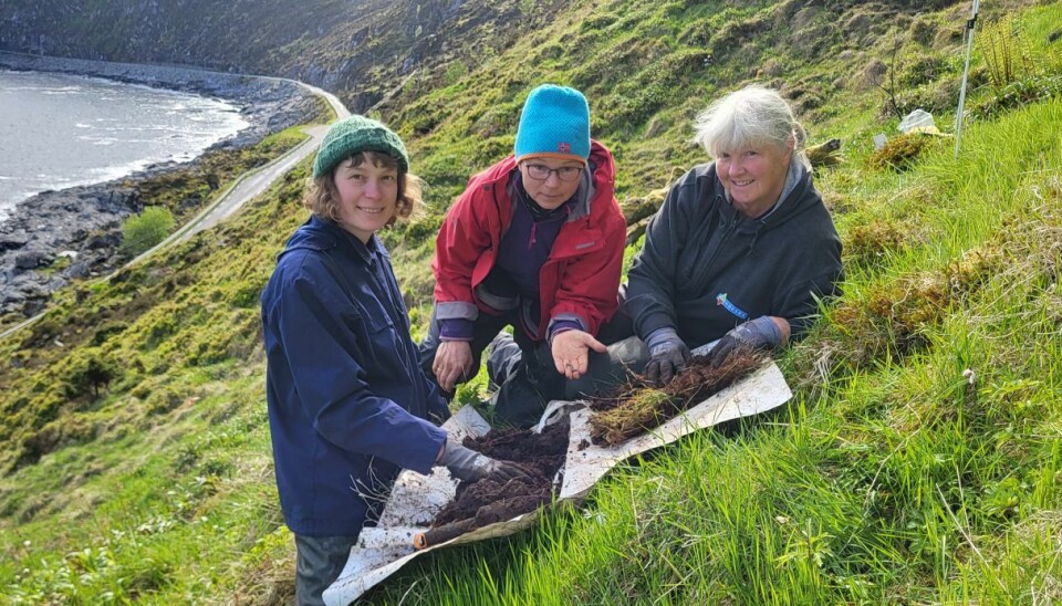 Forsker Reidun Pommeresch i midten. Tre mennesker i naturen.