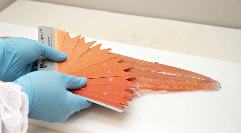 Dette gjør stress med fargen på laksen