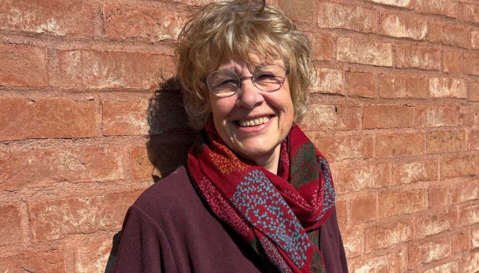 Også menn er omfattet av FNs kvinnekonvensjons vern mot skadelige kjønnsstereotypier, framhever professor Anne Hellum. Portrett av professor Anne Hellum.