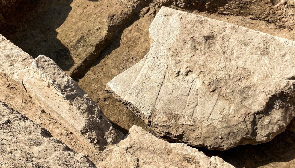 Det store relieffet med Assurbanipal slik det ble avdekket i Ninive.