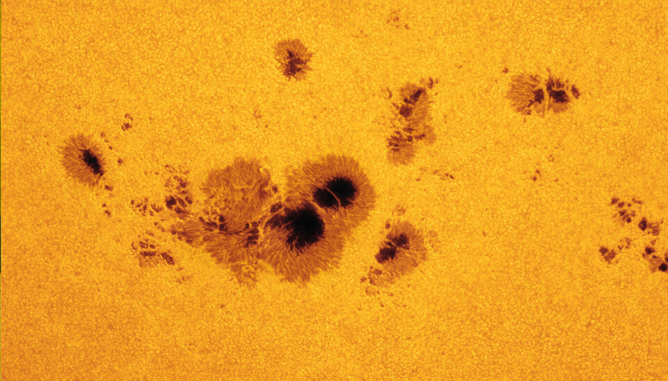 Solflekker på sola. Disse flekkene er på størrelse med jorda, og de vitner om intense magnetiske krefter nede i sola.