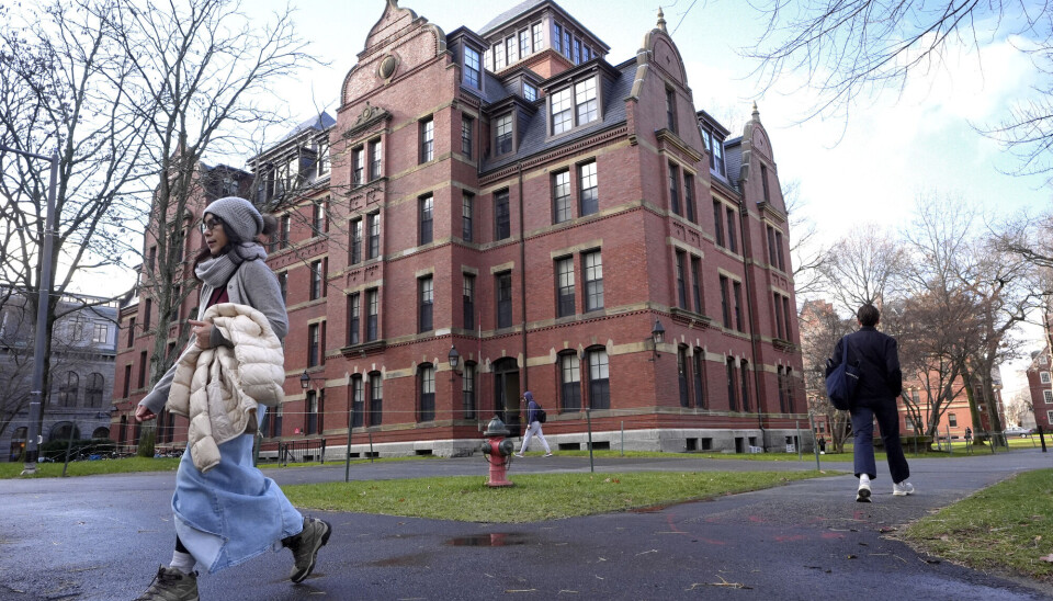 Harvard-universitetet i Cambridge i Massachusetts mister føderal støtte. En Harvard-bygning med det som ser ut som en student i forgrunnen.