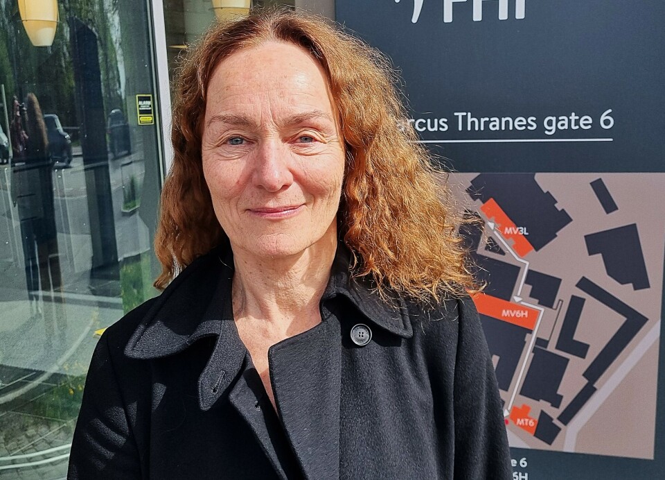 Det er uhyre vanskelig å finne ut av om autisme kan skyldes miljøgifter, ifølge Camilla Stoltenberg. – Da må du ha virkelige gode data.