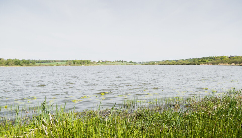 Østensjøvann naturreservat ligger mellom Ås og Ski i Akershus. Østensjøvann naturreservat ligger mellom Ås og Ski i Akershus.