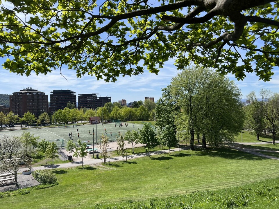 I en ny veileder utarbeidet på oppdrag for Vann- og avløpsetaten i Oslo kommune, gir gressekspert og seniorforsker Trygve Aamlid vanningsråd som både sparer på vannet og gir akseptabel plenkvalitet. Gressareal i Oslo