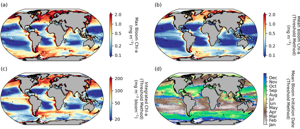 Satellittene har vist hvor, når og hvor mye det blomstrer i havet. (Bilde: Nicholson et al. 2025).