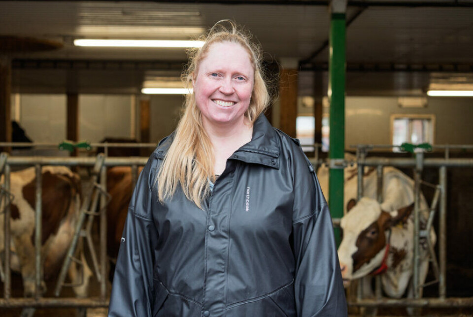 På Busklein gård rett utenfor Trondheim driver Astrid Elisabeth Forseth melkegård med 40 kyr. Her går dyrene inn og ut som de vil, og ku og kalv får gå sammen. Kvinne i fjøs