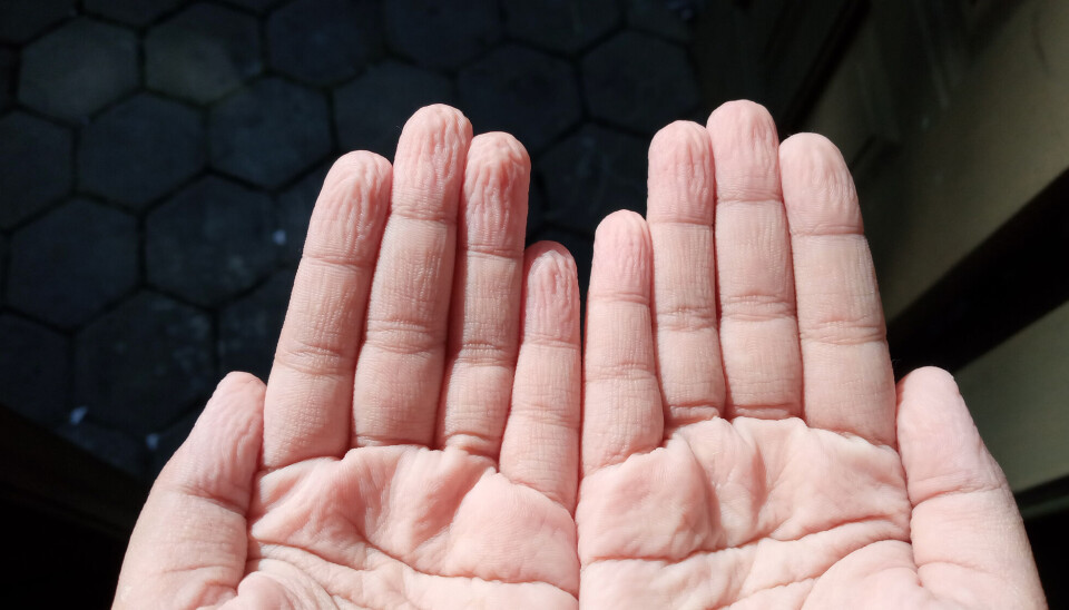 Det tar ikke veldig lang tid før du får dype rynker på fingertuppene når du bader. Kan du kjenne igjen rynkene for hver gang?