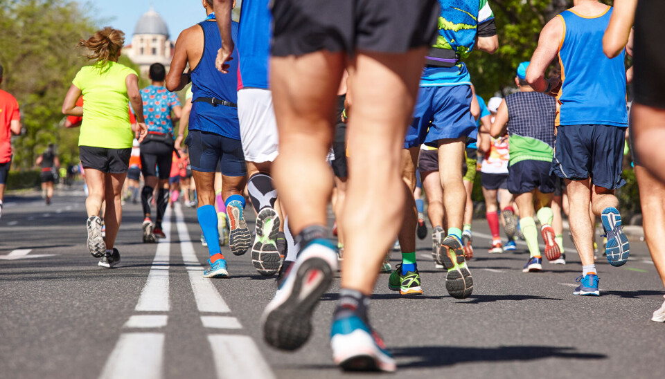 Områder i hjernen som styrer muskler og bevegelse, endrer seg etter et maratonløp, ifølge ny studie. Løpere sett bakfra.