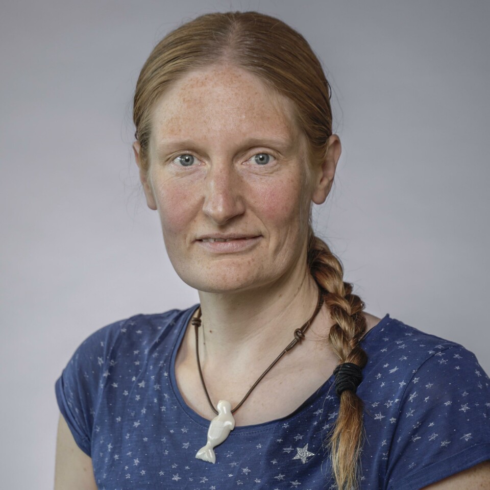Signe Riemer-Sørensen forsker på kunstig intelligens og maskinlæring. Portrett av Signe Riemer-Sørensen.