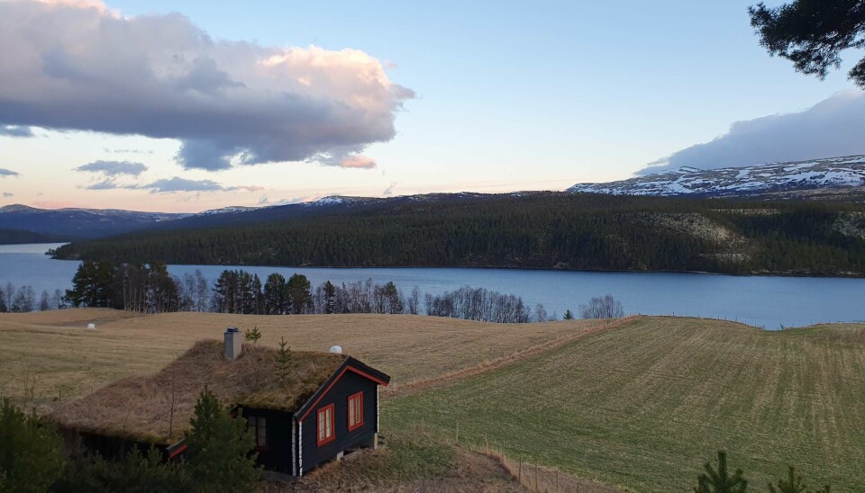 Atnsjøen sett fra gården Nordre Neset den 28. april 2025, det vil si to dager før isløsning for hele innsjøen som var den 30 april 2025. Iskanten ses så vidt mot øst til venstre i bildet Landskap med innsjø og fjell. Foto.