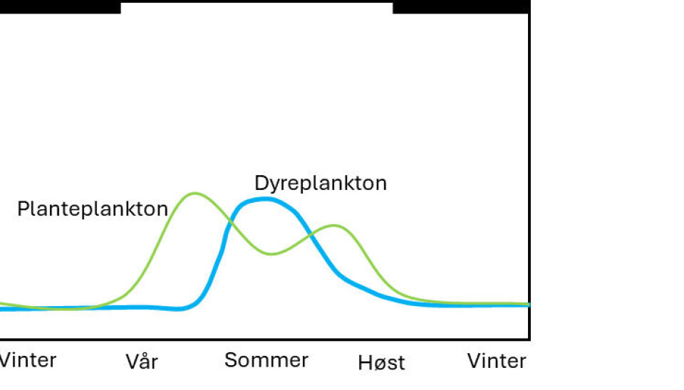 Figur 3: Skjematisk tegning av de årlige endringene av mengden av planteplankton og dyreplankton i en næringsfattig innsjø (som Atnsjøen) som er dekket av is om vinteren. De svarte linjene øverst indikerer at innsjøen er dekket av is vinterstid. I noen innsjøer har timingen av toppen av dyreplanktonmengden som følger etter våroppblomstringen av planteplankton endret seg.