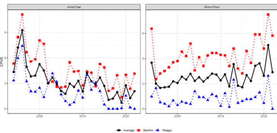 Figur 4: Fangst av røye og ørret i Atnsjøen fra 1994-2022. Fangster i bunngarn er vist i rødt, flytegarn med blått og gjennomsnittet av de to er angitt med svart farge (fra Pilotto m.fl. under utarbeidelse).