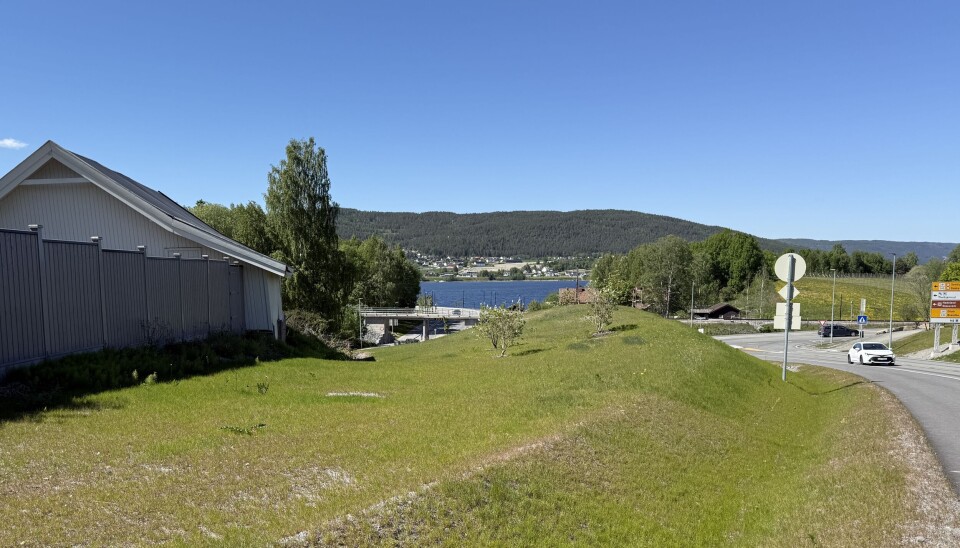 Her er det sådd gress på utlagt dampet jord. Her er det sådd gress på utlagt dampet jord.