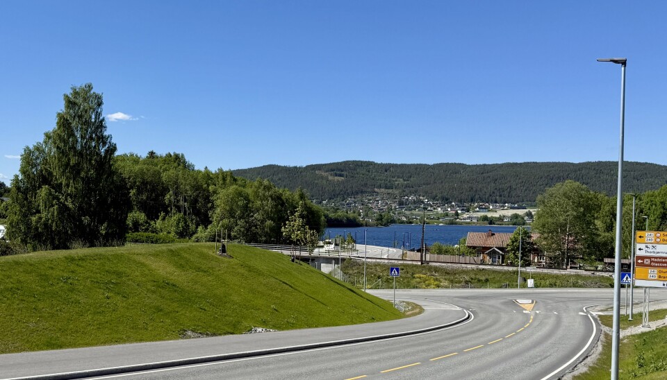 Damp fjernet alt av ugress i jorden slik at nysådd gress kunne vokse uten konkurranse. Her er det sådd gress på dampet jord.