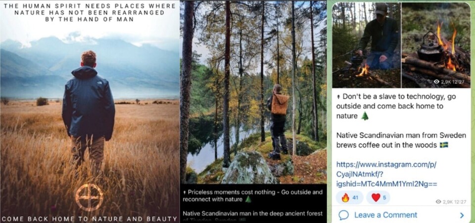 Vakre naturbilder på sosiale medier kan bidra til snikradikalisering, ifølge ny svensk studie. Bildene er hentet fra studien. Ulike poster fra Telegram-grupper for økofascister. Postene viser unge europeiske menn i europeiske skoglandskap.