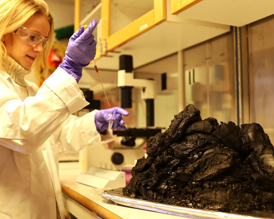 Forsker som undersøker alge-masse i laboratoriet på Finnfjord AS. På fabrikken har de et eget laboratorium for alge-forskningen. Forsker som undersøker alge-masse i laboratoriet på Finnfjord AS. På fabrikken har de et eget laboratorium for alge-forskningen.