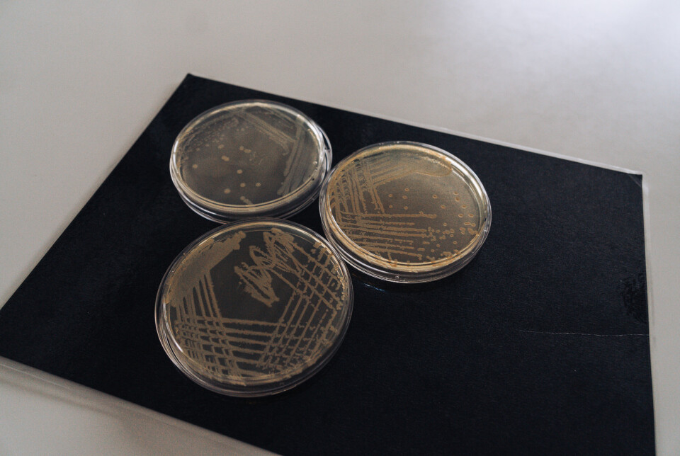Bakteriar som høyrer til slekta Pseudomonas er utbreidde i akvatiske miljø.