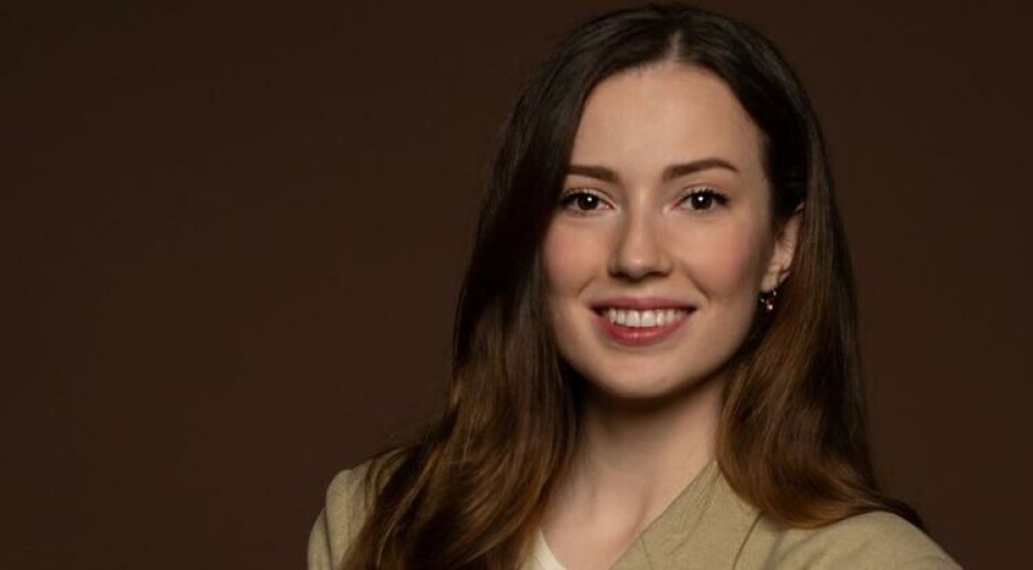 Dette meiner forskar om revisorar i det offentlege