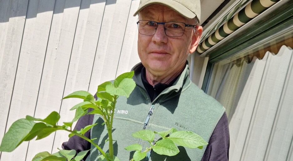 Du kan bruke plantejorda i flere år