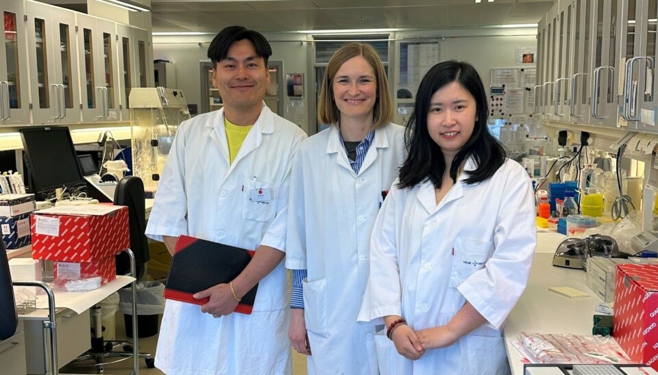 Forskerne Evandro Fei Fang-Stavem, Sofie Lautrup og Caroline Shi-qi Zhang undersøker mekanismene bak aldring.
