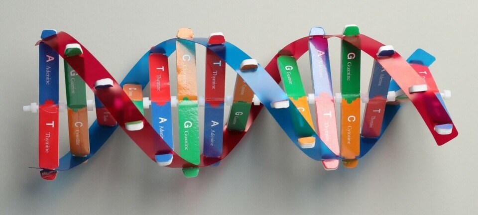 Slik fungerer DNA