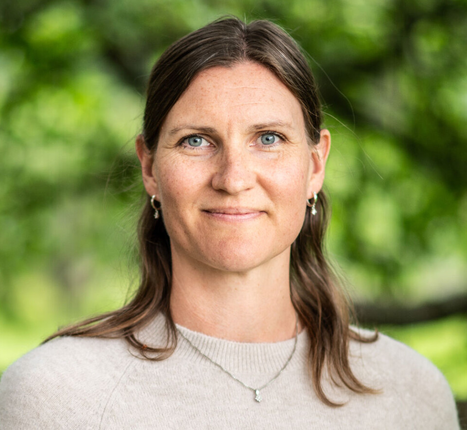 Klimaforsker Anita Verpe Dyrrdal ved Meteorologisk institutt.