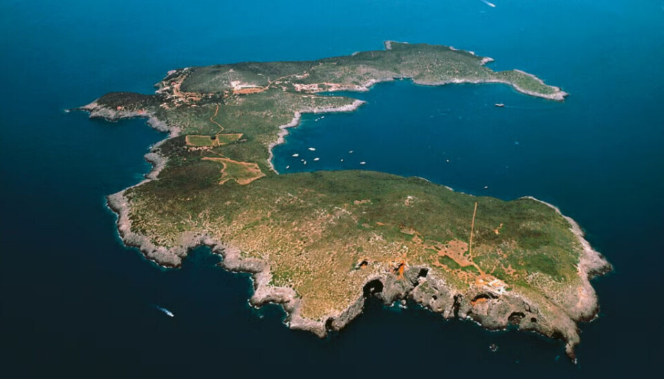 Luftfoto av øya Giannutri, hvor det siden 2018 er satt opp 18 bigårder.