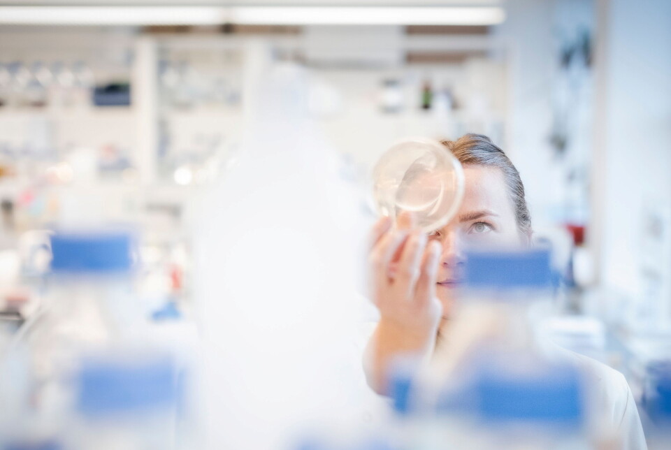 Kamilla Wiull, stipendiat ved Fakultet for kjemi, bioteknologi og matvitenskap, NMBU.