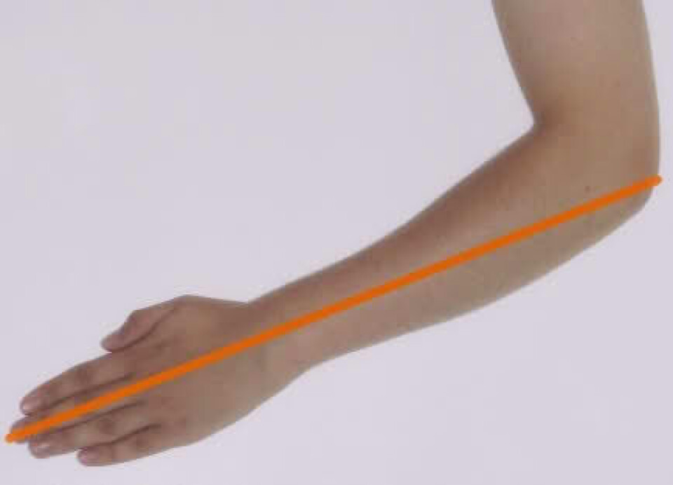 En alen gikk fra albuen til fingerspissen. Men hvor lang er den egentlig? Du kan jo sammenligne med noen andre.
