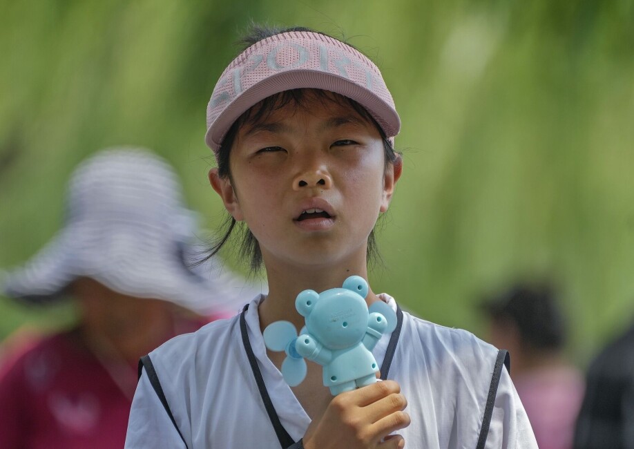 Hva Er En Pave hva-er-en-pave