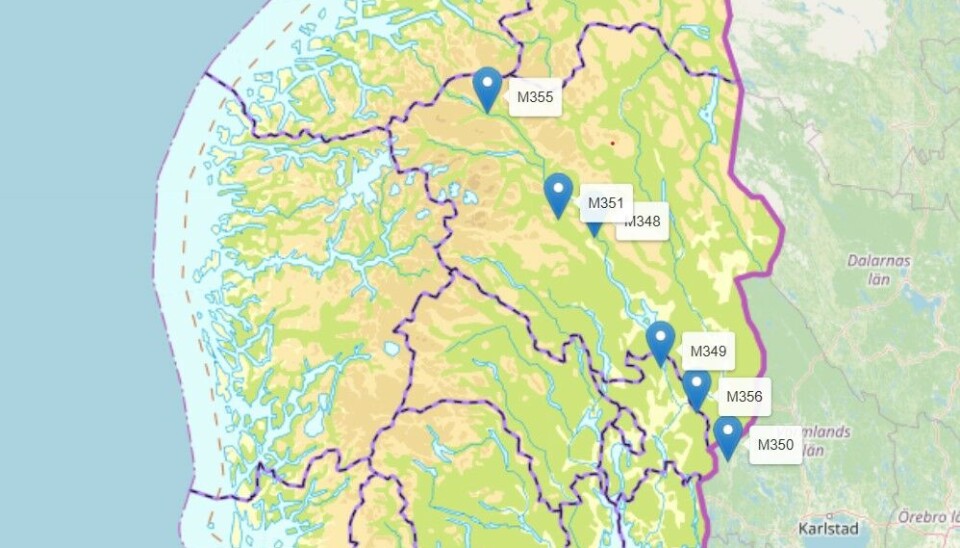 Hanngauper som følges med GPS-sender sommeren 2025