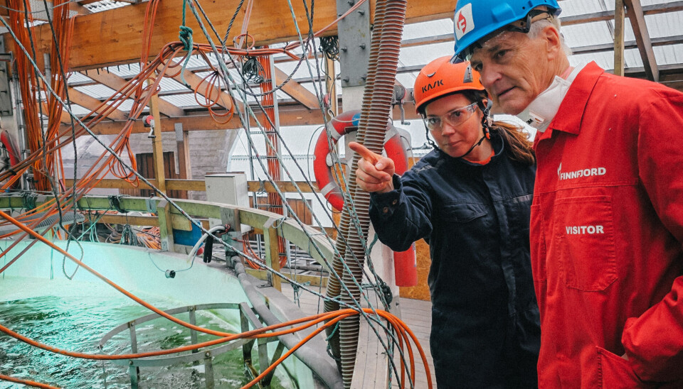Denne uken hadde fabrikken besøk av Statsminister Jonas Gahr Støre. Han la ned grunnsteinen til et nytt bygg med lager og verksted på Finnfjord AS. Her forteller Gunilla Eriksen Statsministeren om algeprosjektet.
